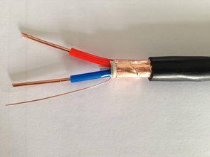 ZR-KVVP2-16×2.5 阻燃控制屏蔽電纜 國標(biāo)品質(zhì)，廠價直銷的專業(yè)之選