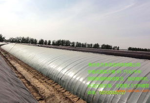 壽光市萬禾農(nóng)業(yè) 蔬菜大棚建造全攻略與價(jià)格解析