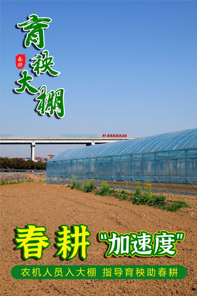 海報丨婁星區(qū)農(nóng)機人員入大棚指導育秧助春耕